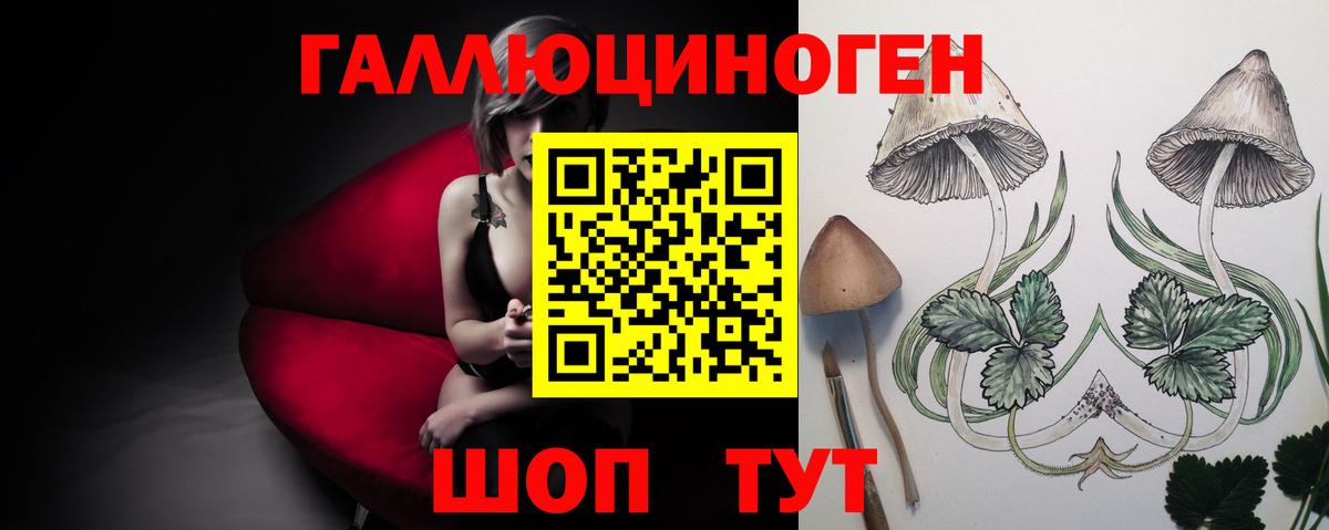 Галлюциногенные грибы Psilocybe  Вход с VPN  Белая Калитва 